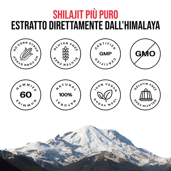 Mumijo Shilajit Original™ (for men)
