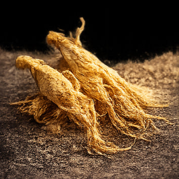 Ginseng