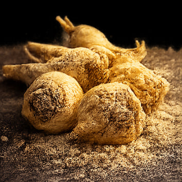 Maca
